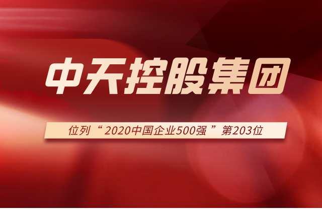 4001百老汇集团列2020中国企业500强第203位！
